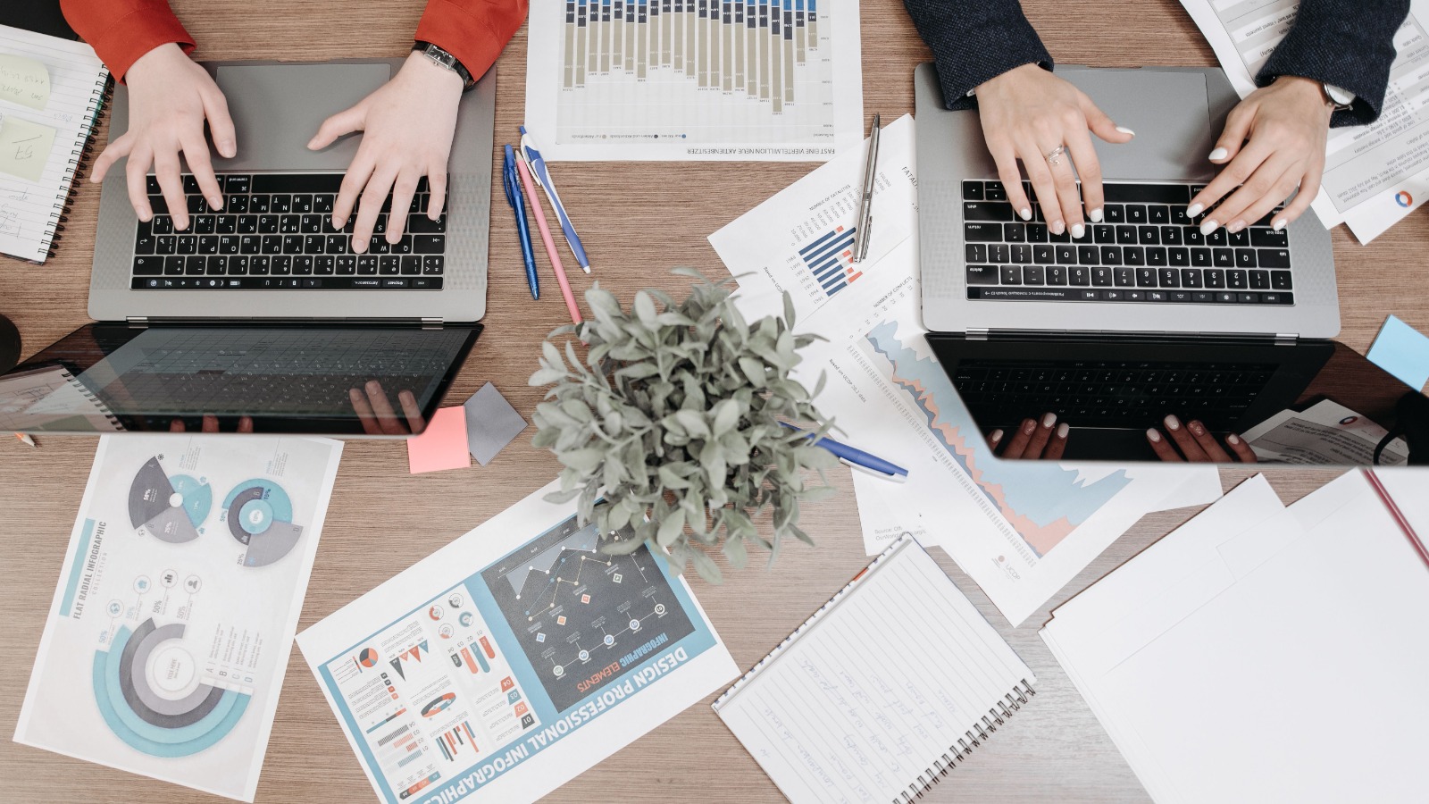 Business Automation: The Plain-English Guide for Growing Businesses